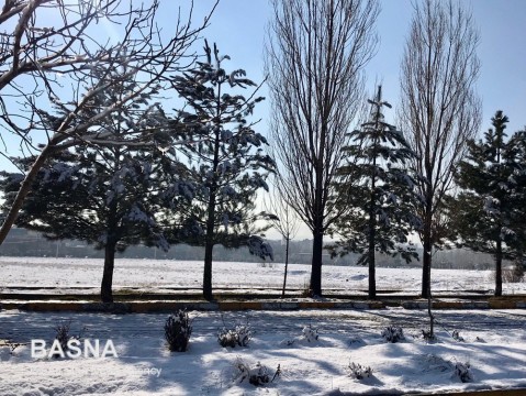 دانشگاه زیبای بوعلی سینا در پوشش برف زمستانی + گزارش تصویری